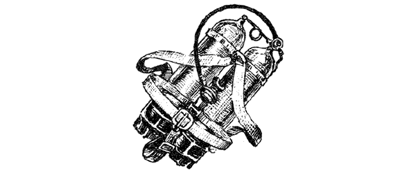 Этот обыкновенный загадочный дельфин - i_037.png