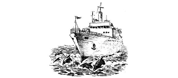 Этот обыкновенный загадочный дельфин - i_039.png