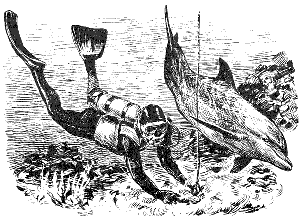 Этот обыкновенный загадочный дельфин - i_040.png