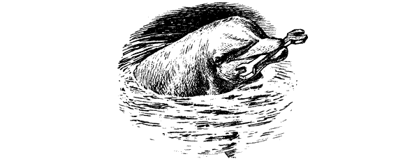 Этот обыкновенный загадочный дельфин - i_041.png