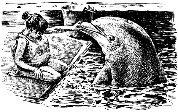 Этот обыкновенный загадочный дельфин - i_042.png