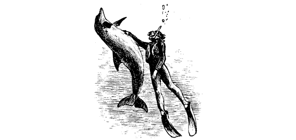 Этот обыкновенный загадочный дельфин - i_043.png