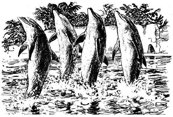 Этот обыкновенный загадочный дельфин - i_044.png