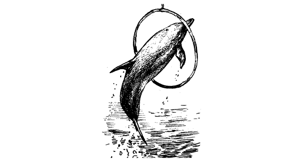 Этот обыкновенный загадочный дельфин - i_045.png