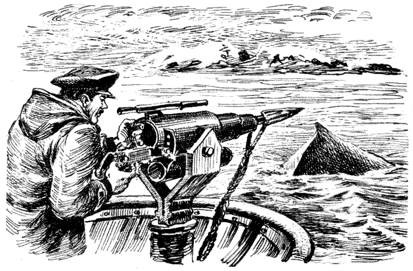 Этот обыкновенный загадочный дельфин - i_046.png