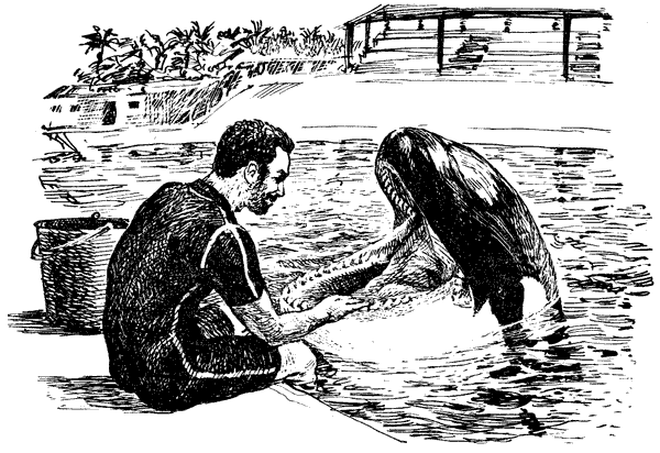 Этот обыкновенный загадочный дельфин - i_048.png