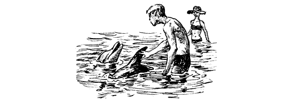 Этот обыкновенный загадочный дельфин - i_050.png