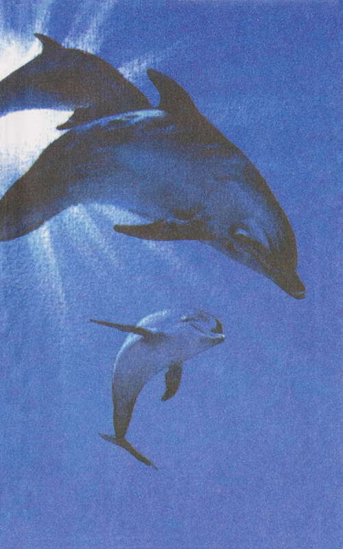 Этот обыкновенный загадочный дельфин - i_052.jpg