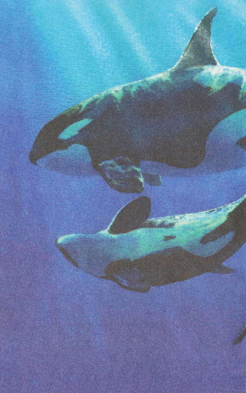 Этот обыкновенный загадочный дельфин - i_053.jpg