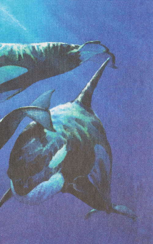 Этот обыкновенный загадочный дельфин - i_054.jpg