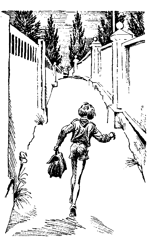 Колыбельная для брата (сборник) - i_014.png