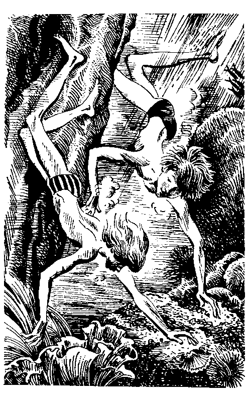 Колыбельная для брата (сборник) - i_016.png