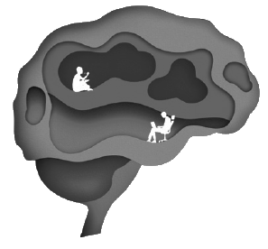 Мозг: еда и новизна. Почему нас тянет к новому и вкусному - i_001.png