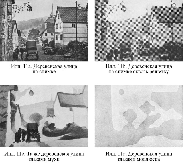 Путешествие в окружающие миры животных и людей. Теория значения - img_10.jpeg