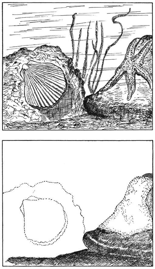 Путешествие в окружающие миры животных и людей. Теория значения - img_21.jpeg