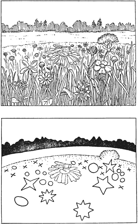 Путешествие в окружающие миры животных и людей. Теория значения - img_23.jpeg
