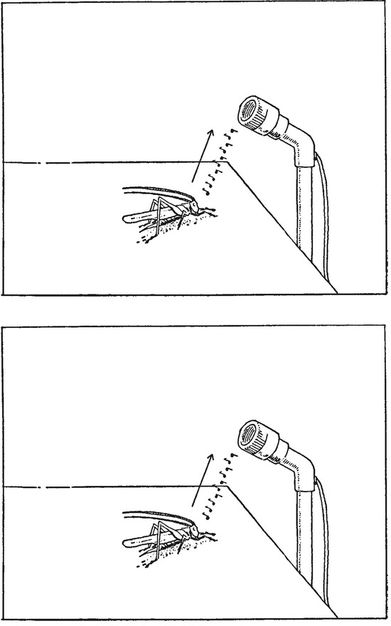 Путешествие в окружающие миры животных и людей. Теория значения - img_25.jpeg