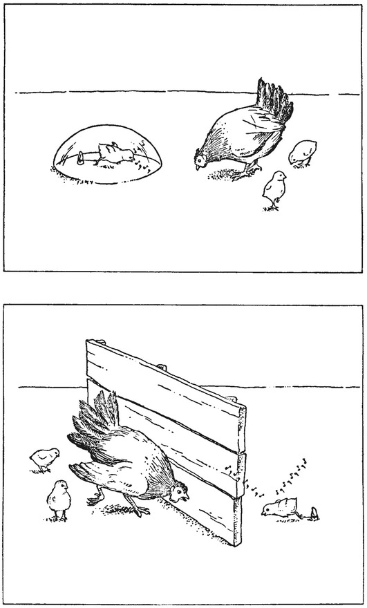 Путешествие в окружающие миры животных и людей. Теория значения - img_26.jpeg