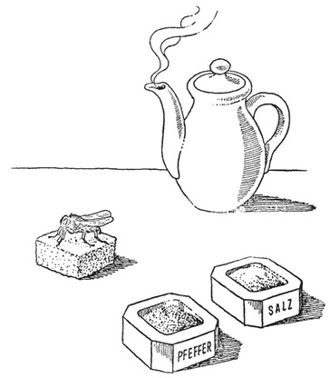 Путешествие в окружающие миры животных и людей. Теория значения - img_32.jpeg