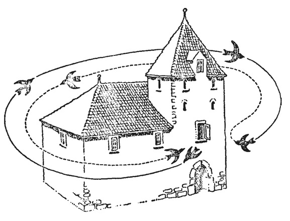 Путешествие в окружающие миры животных и людей. Теория значения - img_34.jpeg