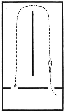 Путешествие в окружающие миры животных и людей. Теория значения - img_35.jpeg