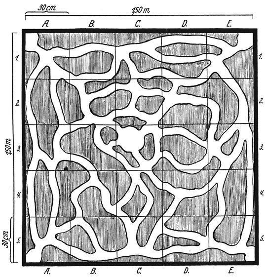 Путешествие в окружающие миры животных и людей. Теория значения - img_37.jpeg
