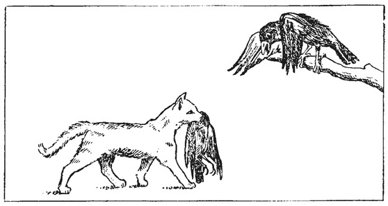 Путешествие в окружающие миры животных и людей. Теория значения - img_40.jpeg