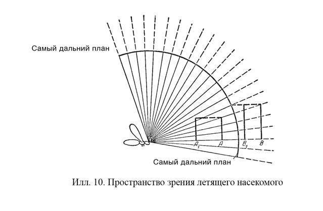 Путешествие в окружающие миры животных и людей. Теория значения - img_9.jpeg