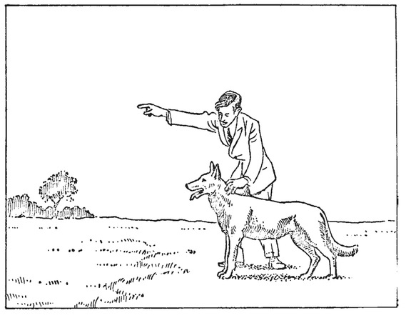 Путешествие в окружающие миры животных и людей. Теория значения - img_45.jpeg