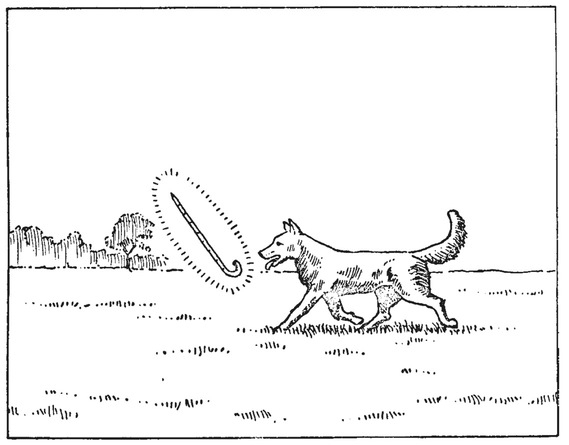 Путешествие в окружающие миры животных и людей. Теория значения - img_46.jpeg