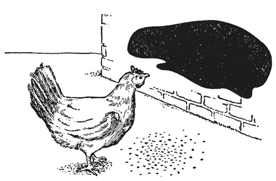 Путешествие в окружающие миры животных и людей. Теория значения - img_53.jpeg