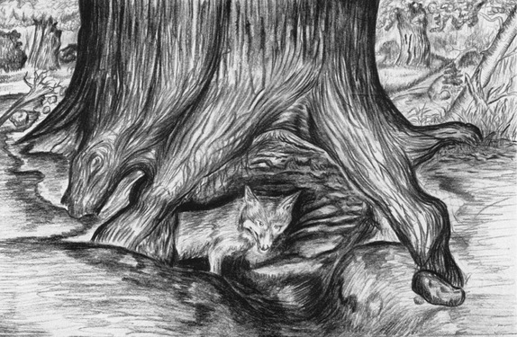 Путешествие в окружающие миры животных и людей. Теория значения - img_56.jpeg