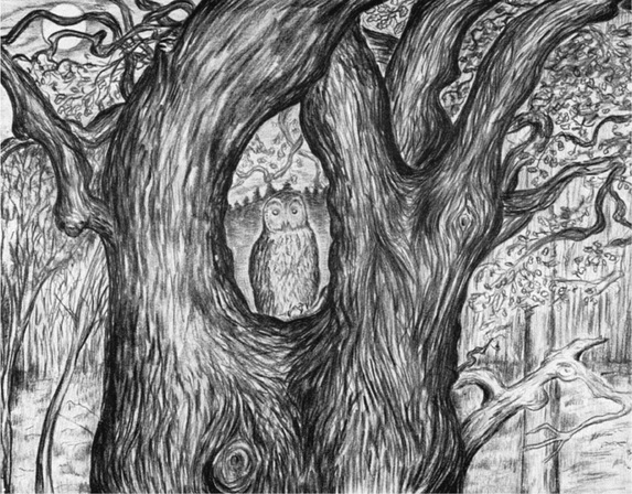 Путешествие в окружающие миры животных и людей. Теория значения - img_57.jpeg