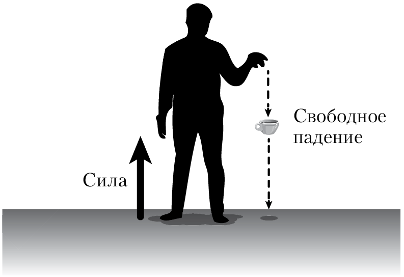 Пространство, время и движение. Величайшие идеи Вселенной - i_236.png