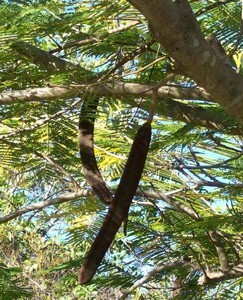 Полярный конвой. пушки острова наварон. (сборник) - Screenshot_5.jpg