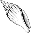 "Фантастика 2024-187". Компиляция. Книги 1-21 (СИ) - i_021.png