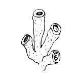 "Фантастика 2024-187". Компиляция. Книги 1-21 (СИ) - i_073.jpg