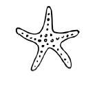 "Фантастика 2024-187". Компиляция. Книги 1-21 (СИ) - i_093.jpg