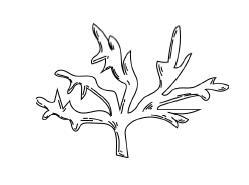 "Фантастика 2024-187". Компиляция. Книги 1-21 (СИ) - i_106.jpg