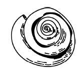 "Фантастика 2024-187". Компиляция. Книги 1-21 (СИ) - i_108.jpg