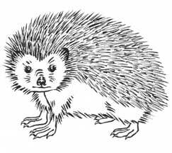 Семь сестер. Семейная сага от Люсинды Райли. Комплект из 4 книг (часть 5–8) - i_003.jpg