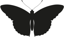 "Фантастика 2025-14". Компиляция. Книги 1-17 (СИ) - i_035.png