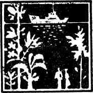 Когда налетел норд-ост - img_3.jpeg