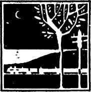 Когда налетел норд-ост - img_5.jpeg