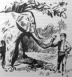 Сборник "Приключения Томека на разных континентах". Компиляция. кн.1-5 - i_005.jpg