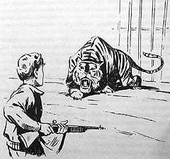 Сборник "Приключения Томека на разных континентах". Компиляция. кн.1-5 - i_006.jpg