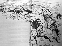 Сборник "Приключения Томека на разных континентах". Компиляция. кн.1-5 - i_012.jpg