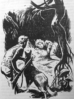 Сборник "Приключения Томека на разных континентах". Компиляция. кн.1-5 - i_017.jpg