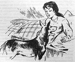 Сборник "Приключения Томека на разных континентах". Компиляция. кн.1-5 - i_018.jpg