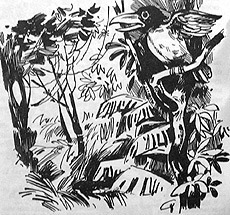 Сборник "Приключения Томека на разных континентах". Компиляция. кн.1-5 - i_020.jpg